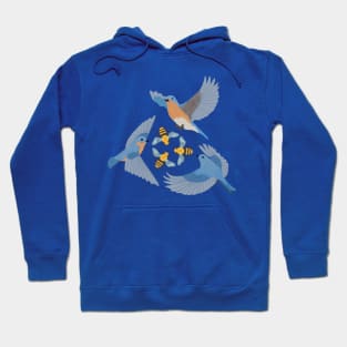 The Birds and the Bees Hoodie